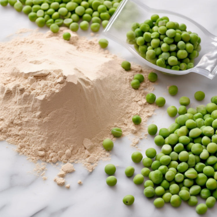 Health green Organic Free Sample Pea Protein bulk Powder