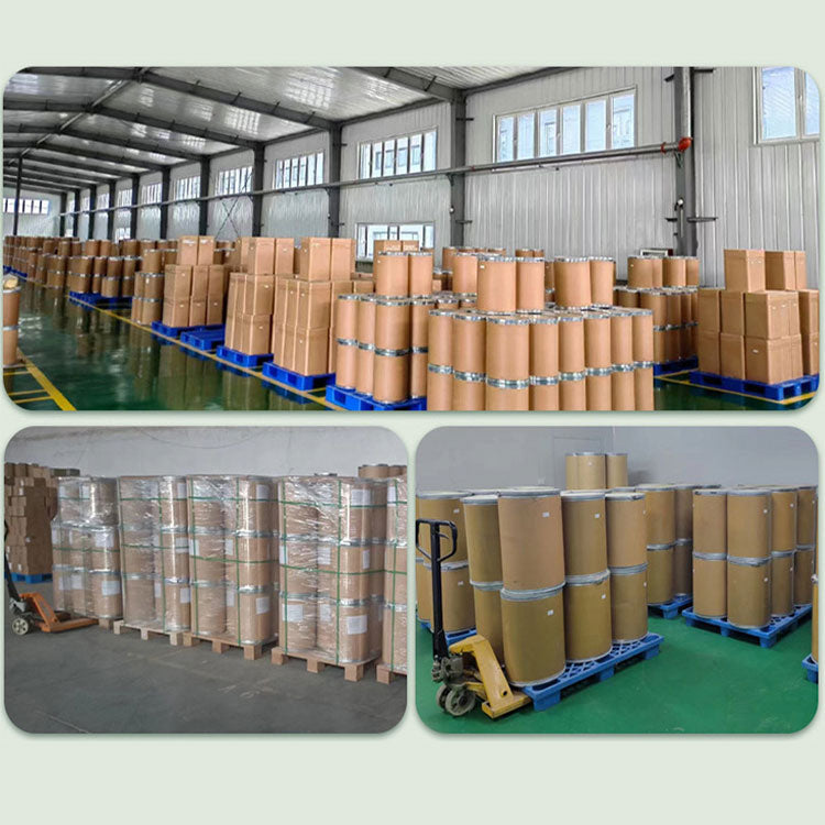Mesh Rice Material 300 Mesh Rice Protein Powder – Joinedfortunechemical