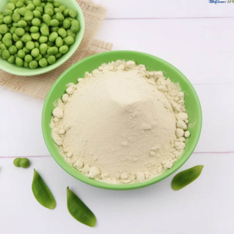 Green Protien Powder Green Protein Powder Supplement Wholesale Organic Plant Based Pea Isol ...