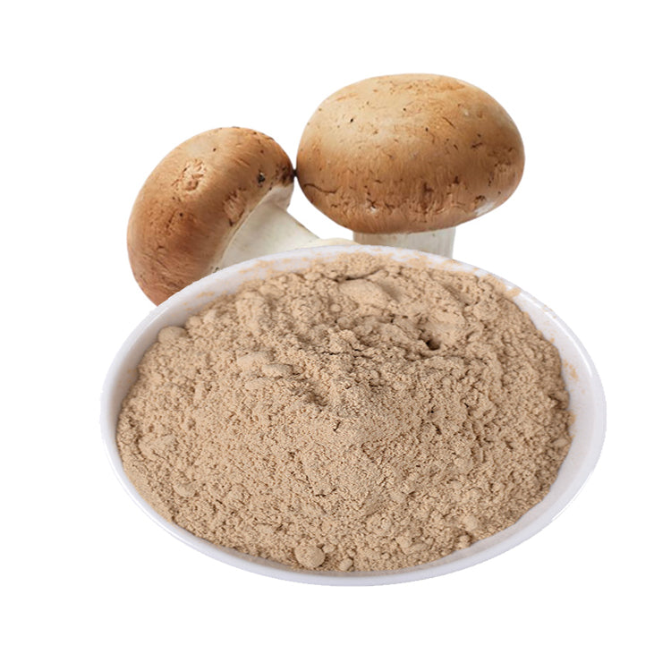 Natural mushroom extract raw material powder
