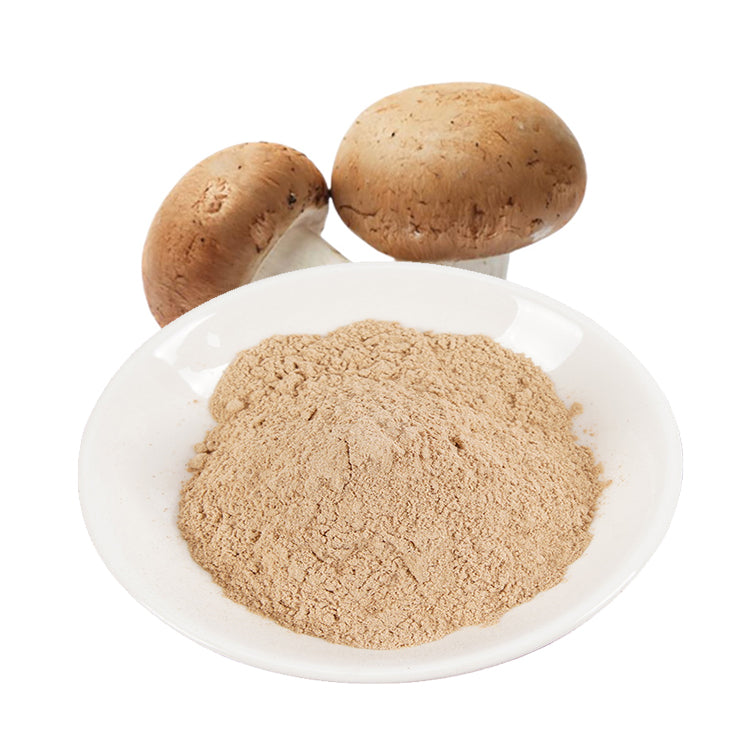 Natural mushroom extract raw material powder