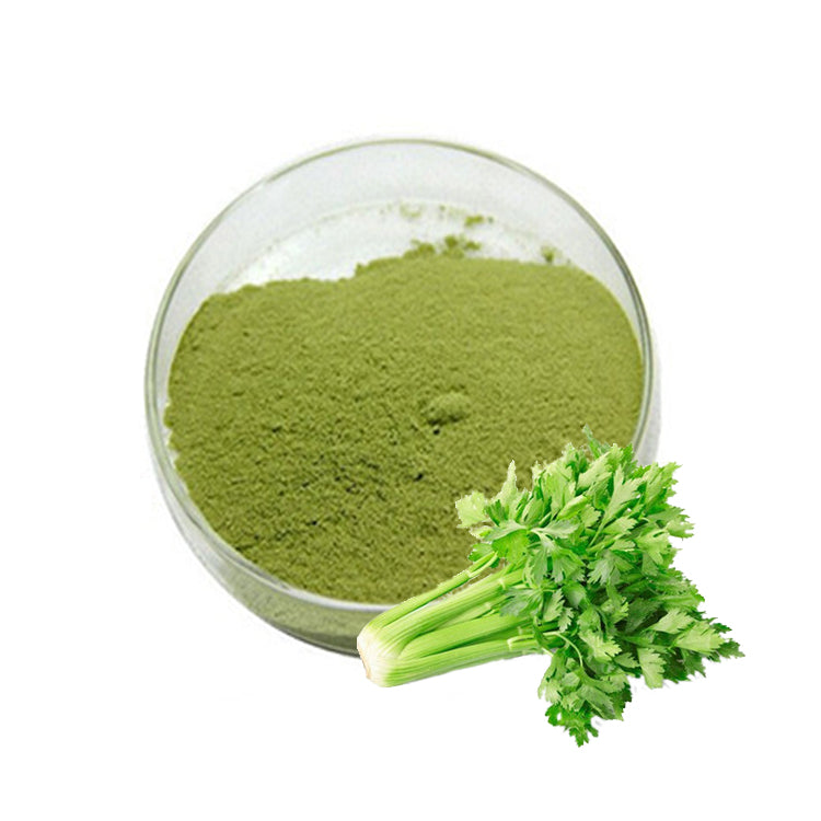 Celery Seed Extract Apigenin Celery Powder